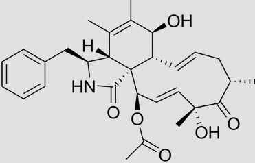 Citocalasinas