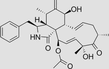Citocalasinas