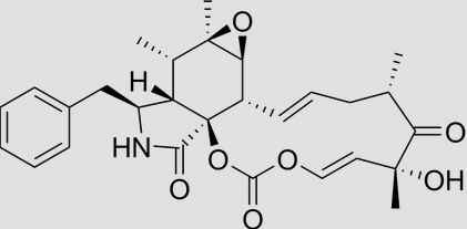 Citocalasinas