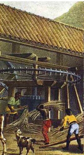 História da Cachaça