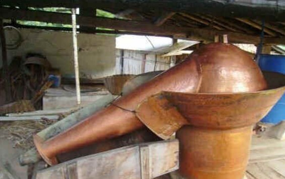 História da Cachaça