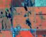 Agricultura de Precisão