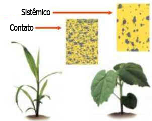 Aplicação Aérea de Agroquímicos Aplicação Aérea de Agroquímicos