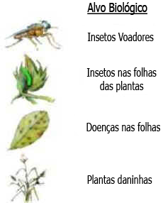 Aplicação Aérea de Agroquímicos Aplicação Aérea de Agroquímicos