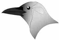 Bicos das Aves