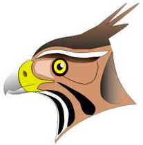 Bicos das Aves