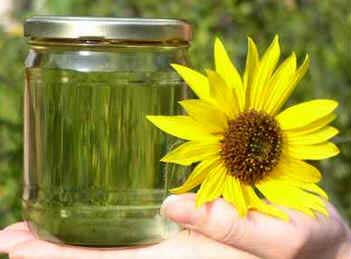 Biodiesel