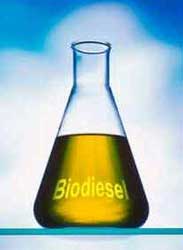 Biodiesel