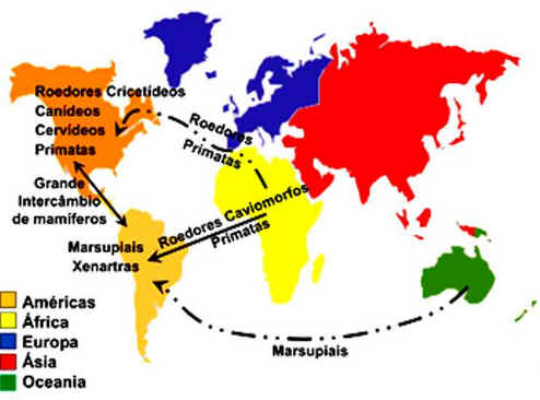 Biogeografia