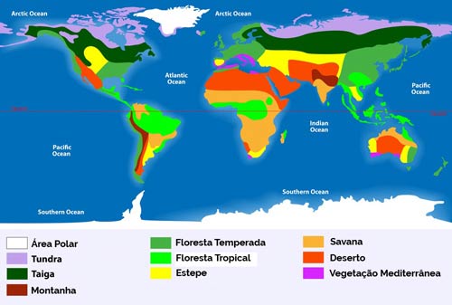 Distribuição de Biomas Pelo Mundo