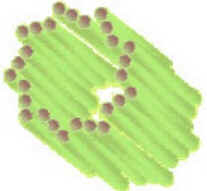 Citoplasma Citoplasma