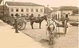 História da Cerveja História da Cerveja