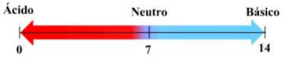 Composição Química das Células