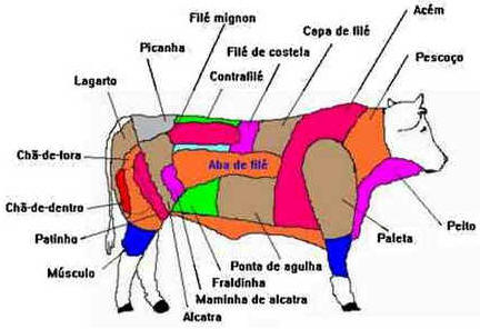 Dicas de Cozinha