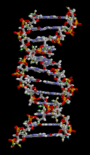 DNA DNA