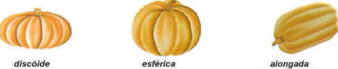 Epistasia