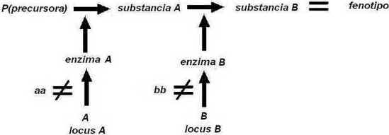Epistasia