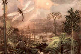 Era Paleozóica