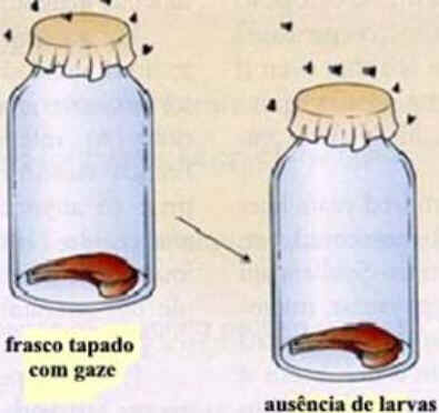 Experimentos de Fox