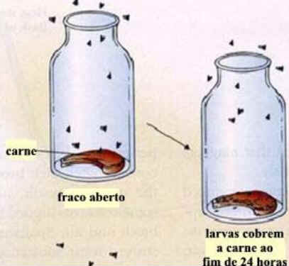 Experimentos de Fox