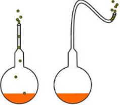 Experimentos de Pasteur Experimentos de Pasteur