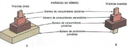 Fluxo de Energia