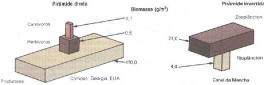Fluxo de Energia