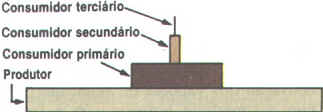 Fluxo de Energia
