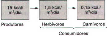Fluxo de Energia