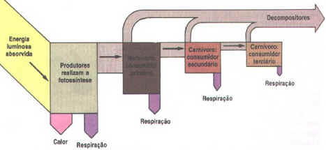 Fluxo de Energia