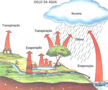 Fluxo de Energia