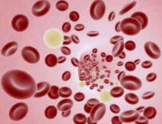 Hematologia