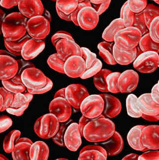 Hematologia