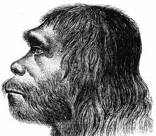 Homem de Neandertal