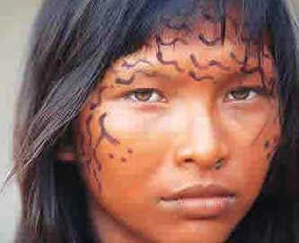 Índios Brasileiros