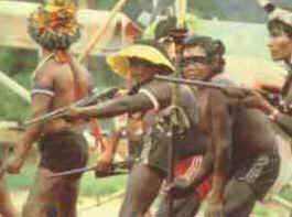Índios Brasileiros