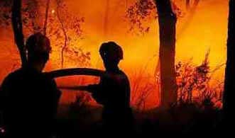 Incêndios Florestais