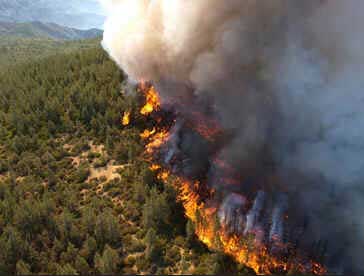 Incêndios Florestais