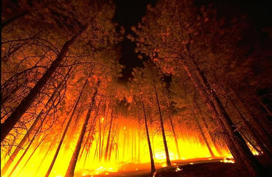 Incêndios