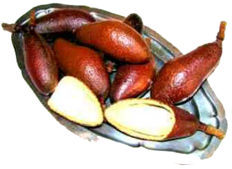 Jatobá