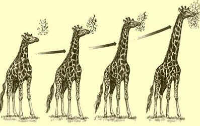 Lamarckismo