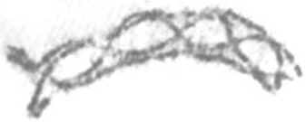 Meiose Meiose
