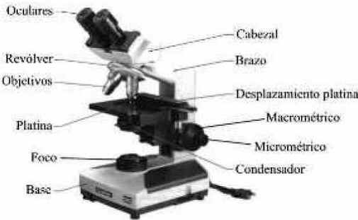 Microscópio Óptico Microscópio Óptico