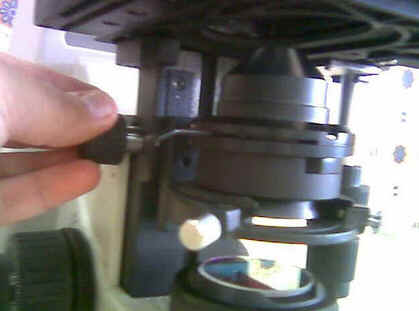 Microscópio Óptico Microscópio Óptico