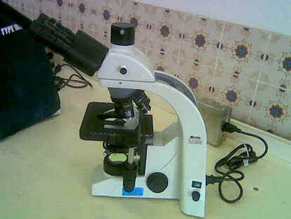 Microscópio Óptico Microscópio Óptico