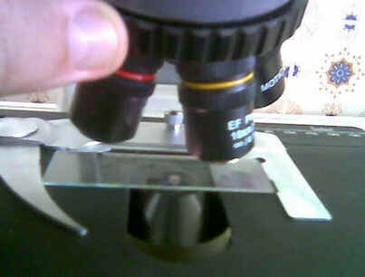 Microscópio Óptico Microscópio Óptico