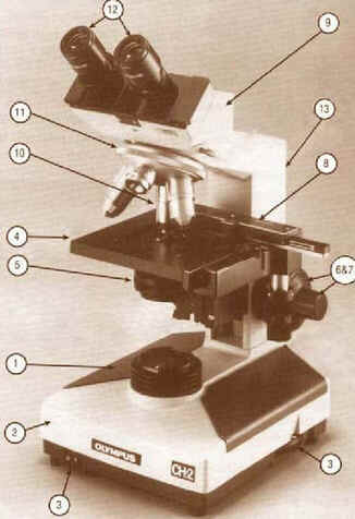 Microscópio Composto