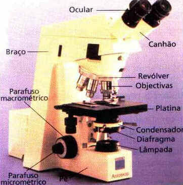 Microscópio Composto