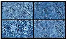 Nanoarte Nanoarte