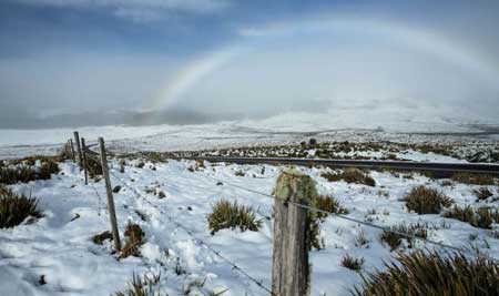 Neve